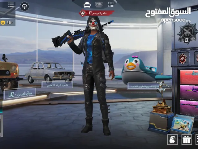 Pubg Accounts and Characters for Sale in Irbid