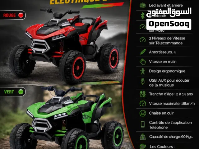 moto électrique