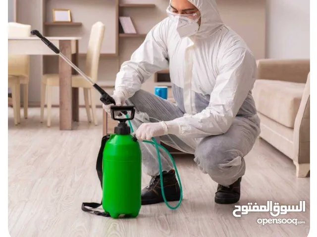 مؤسسة الايدي المثاليه مكافحه حشرات