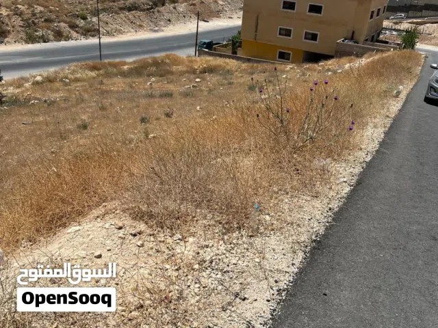 Residential Land for Sale in Amman Marka Al Janoubiya