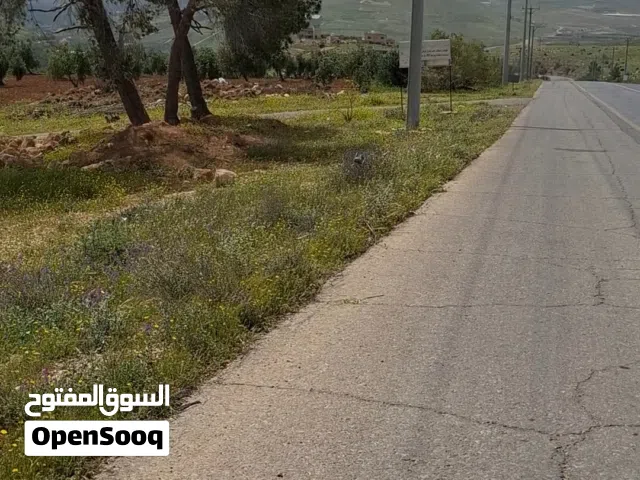 عنيبة اراضي جرش عشارع الرئيسي  جرش الزرقاء مباشرة تجاري 3ونص دونم
