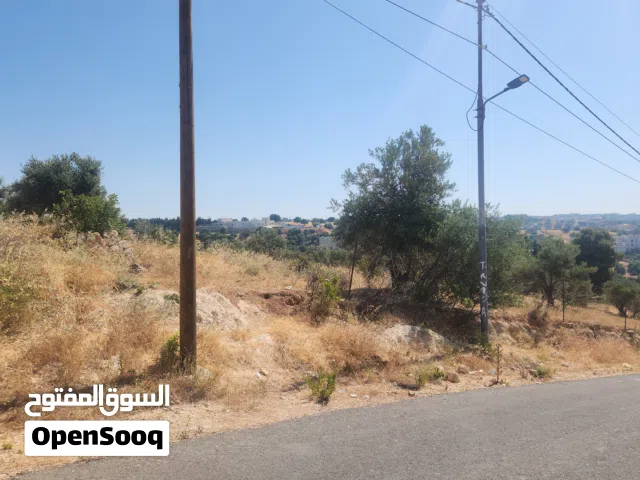 Residential Land for Sale in Amman Daheit Al Arz