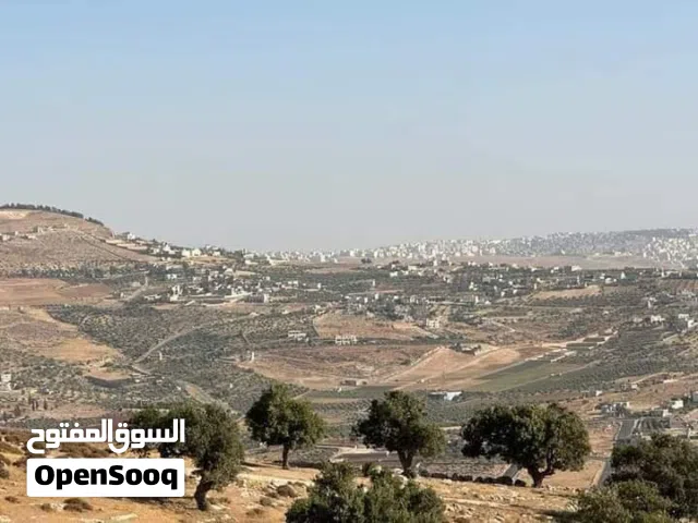 Farm Land for Sale in Jerash Marsa'