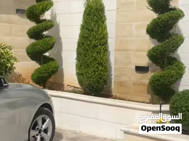 تنسيق حدائق تخفيضات اخر الموسم