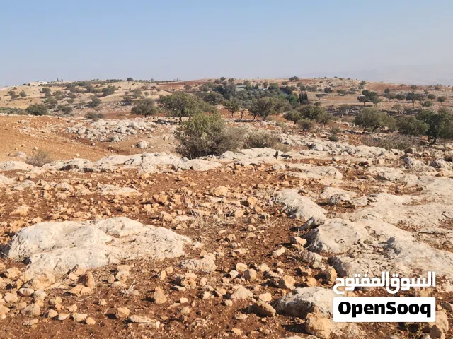 Residential Land for Sale in Amman Bilal