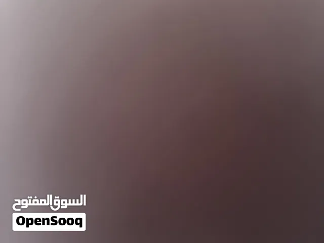 غواصتين داخل جراند بريال عماني