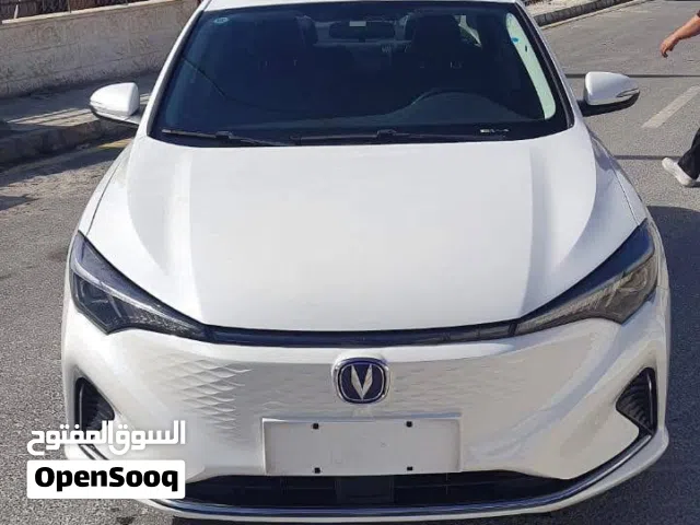2021 Changan Eado Basic