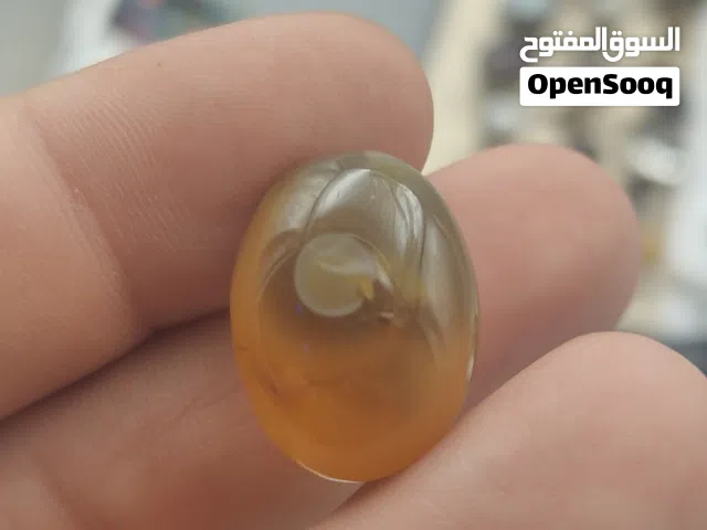 سليماني هندي اسعار جمله