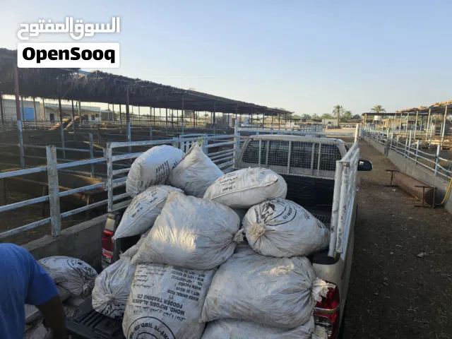 نقل عام مسقط الباطنة الظاهرة الشرقية الداخلية