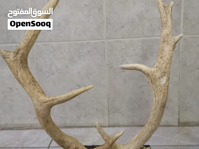 تحف لتزيين المنازل والمجالس لتواصل واتس