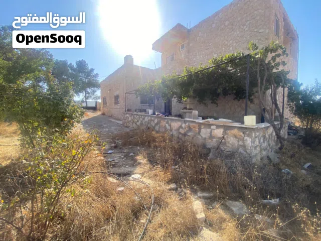 مزرعة للبيع  مكونه من بيت مستقل نظام أمريكي  مساحته (240) متر مربع مقام على 10 دونمات مزروعه شجر