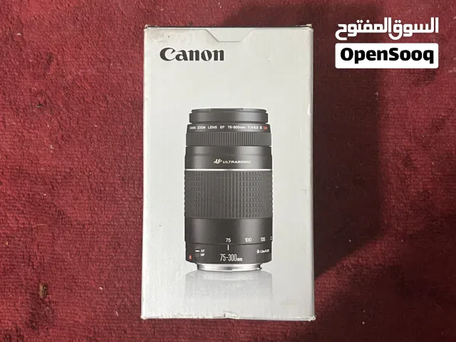 Cannon Ef 75-300mm Lens