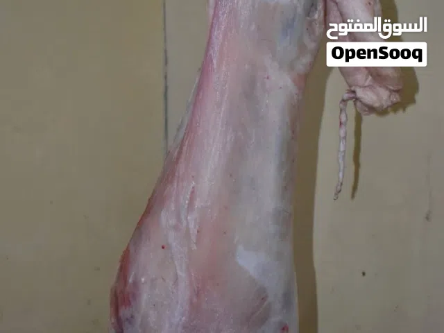 بسم الله الرحمن الرحيم    اعلان - لحام اضاحي   لحام متنقل لذبح اضاحي العيد