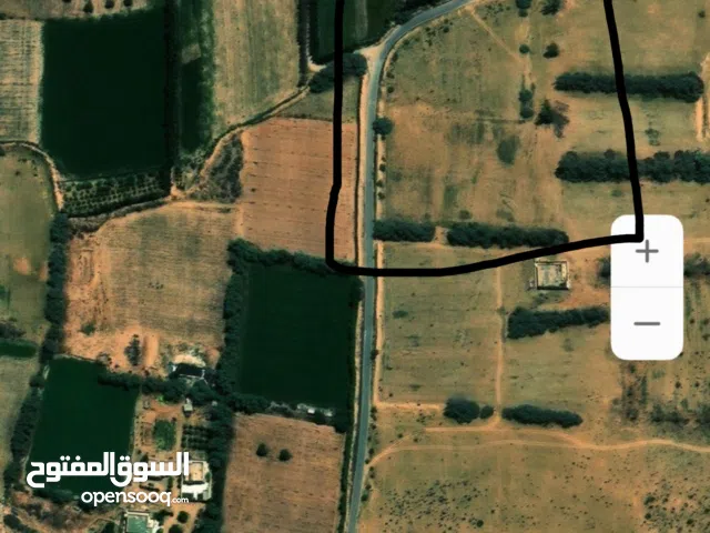 أرض 2هكتار للبيع في منطقة بئر عز الدين (الزاوية)