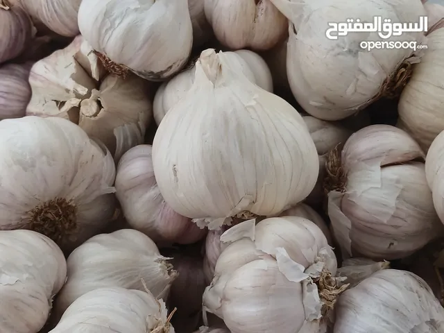 ثوم عماني للبيع