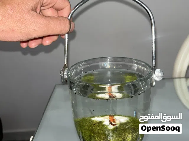 حوض سمك صغير الحجم بالاكسسوارت متعه سعر40ديناررقم الهاتف