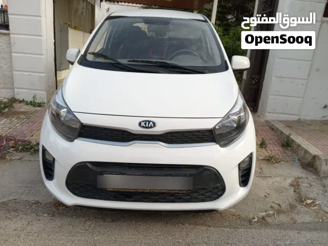 2022, كيا, بيكانتو, EX