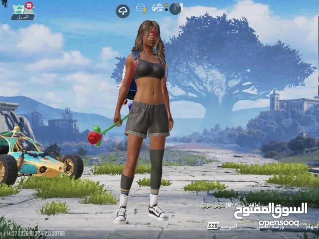 Pubg Accounts and Characters for Sale in Cairo