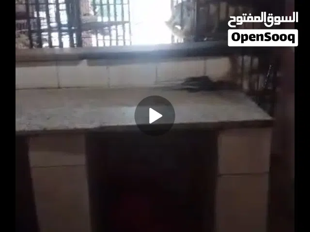 محل دجاج جاهز مديكر مصلح جاهز بكامل عدته بموقع حركه السنينه الشارع العام ايجار المحل 40 الف
