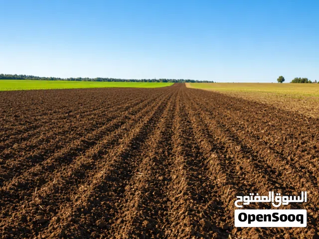 Farm Land for Sale in Kassala Atbarah River
