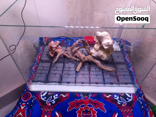 حوض سمك بكامل معداته