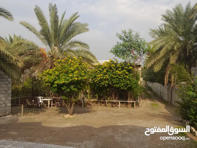 230 m2 3 Bedrooms Villa for Sale in Baghdad Kadhimiya