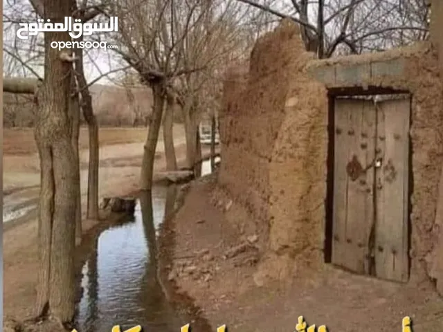 دار للبيع في حي الحسين الحيانيه شارع 60 العام