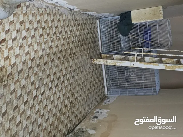 للبيع اقفاص طيور