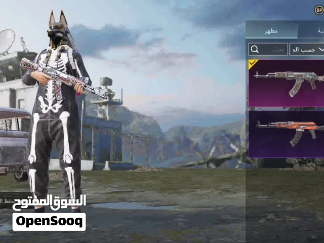 Pubg Accounts and Characters for Sale in Aswan