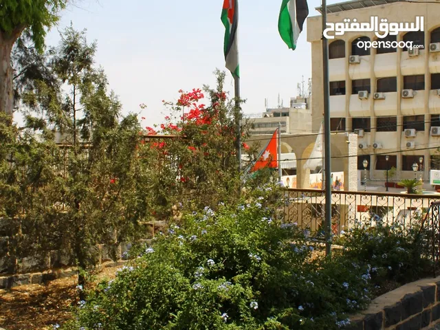 Other courses in Irbid