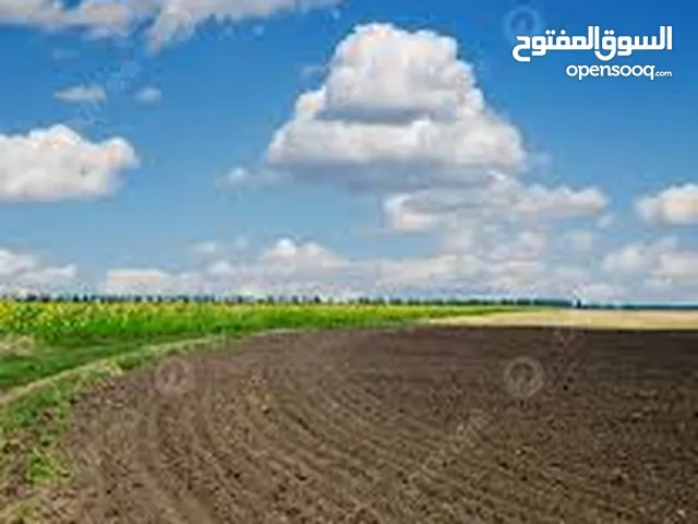 Mixed Use Land for Sale in Zarqa Al-Qadisyeh - Rusaifeh