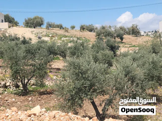 Residential Land for Sale in Amman Bilal