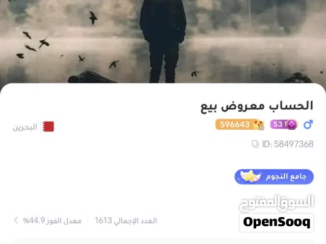 Accounts - Others Accounts and Characters for Sale in Muharraq
