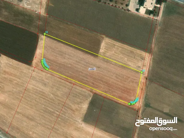 قطعة ارض للبيع الحصن - المومنية - شمال طريق اربد عمان