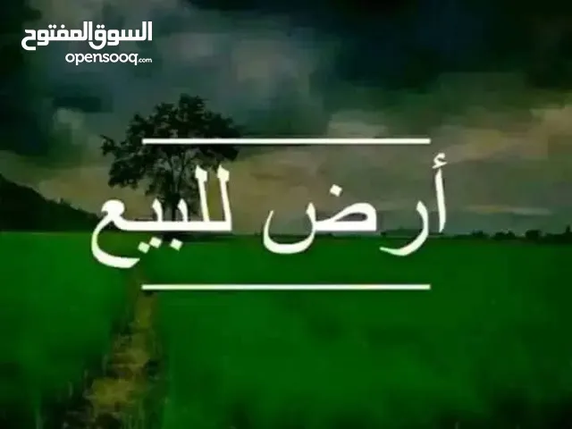 قطعة أرض تجارية للبيع . رئيسي عين زارة
