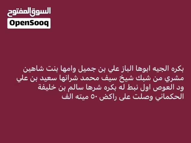بكره نوعيه انتاج سلال الباز بن جميل ابو الدوحه الشحانيه