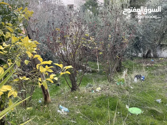42 m2 2 Bedrooms Apartments for Sale in Amman Swelieh