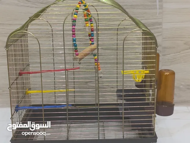 قفص عصافير ذهبي إيطالي سفاح وجميل جداً مع العاب جديد