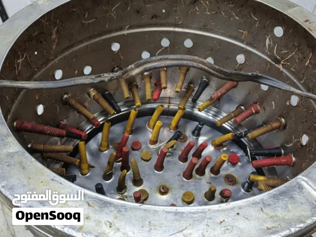 هلاسه دجاج للبيع شغاله شرط الفحص