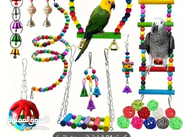 اكسسوارات للطيور