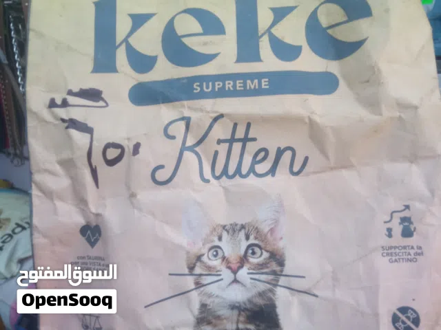 كيكي كتن و سترليز عرض خاص 450ج