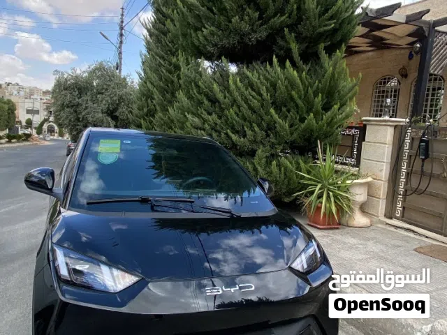 2024, بي واي دي, سيجول