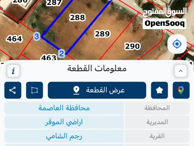 ارض سكنيه مميز مفروزه في رجم الشامي الشرقي