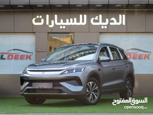 2025, بي واي دي, سونج برو