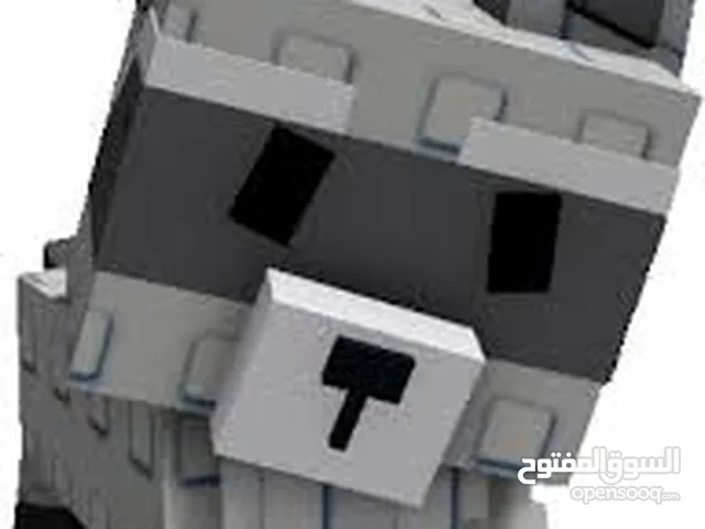 Roblox Accounts and Characters for Sale in Muharraq