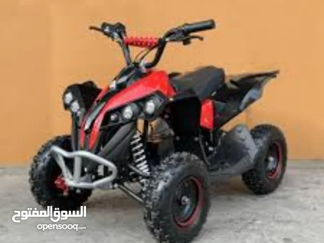 مطوا اربعة عجلا 2022