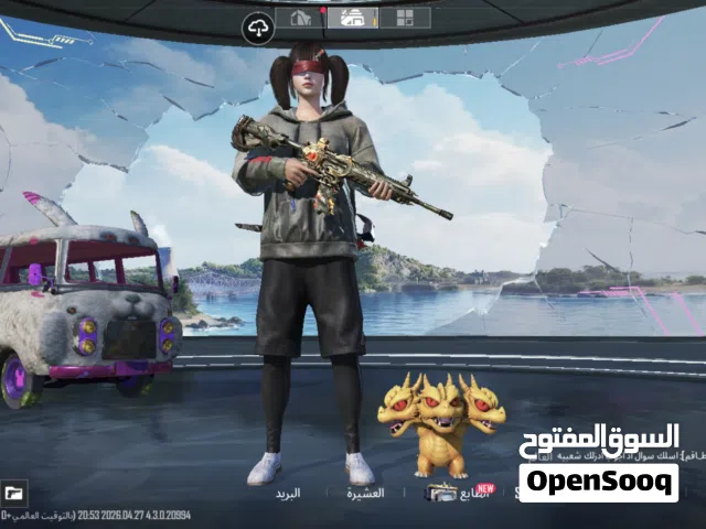 Pubg Accounts and Characters for Sale in Basra