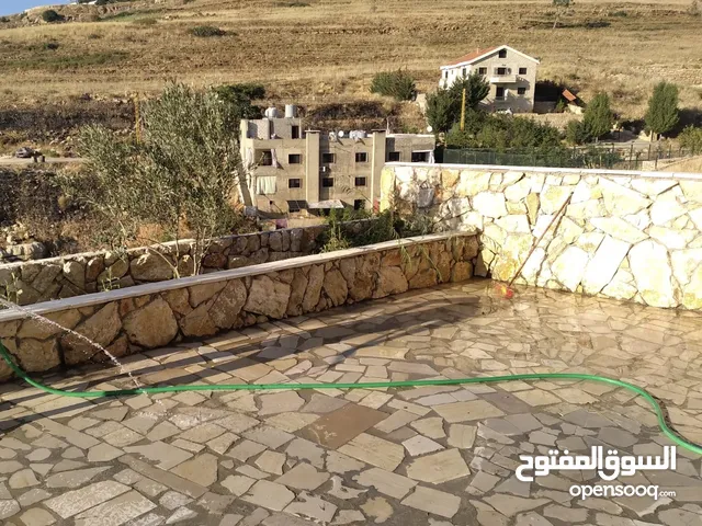 300 m2 3 Bedrooms Apartments for Rent in Aley Saoufar