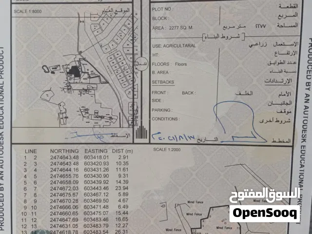 فرصة. أرض زراعية للبيع في سناو