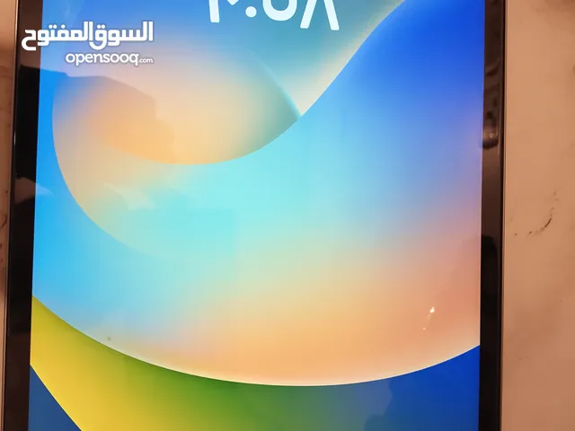 Apple iPad Pro 256 GB in Tabarjal